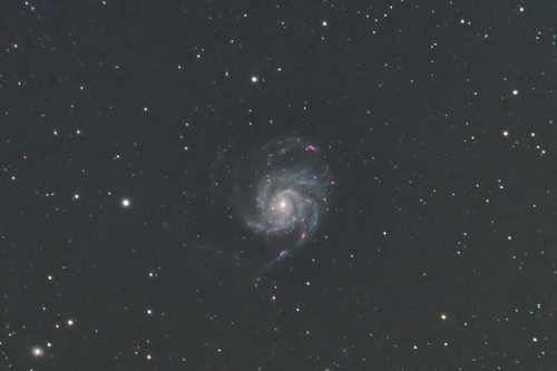 M1012_800