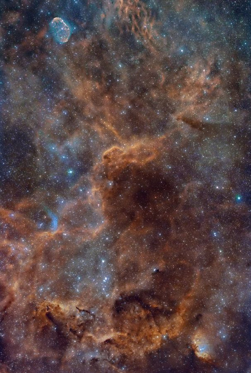 The_crescent_nebula_wr_134tulip_neb